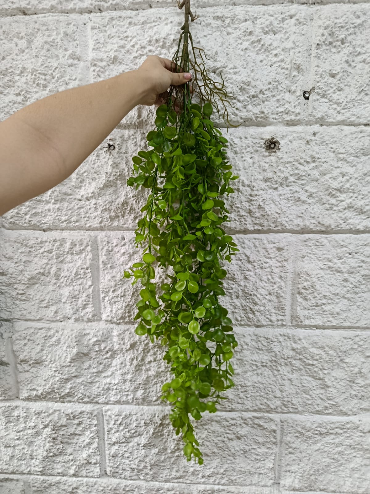 Colgante Eucalipto Premium 1mts