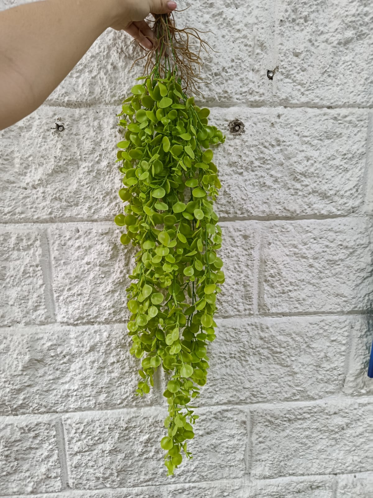 Colgante Eucalipto Premium 1mts