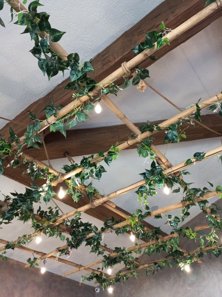 Docena Enredadera Mini Miami x12 2.10mts