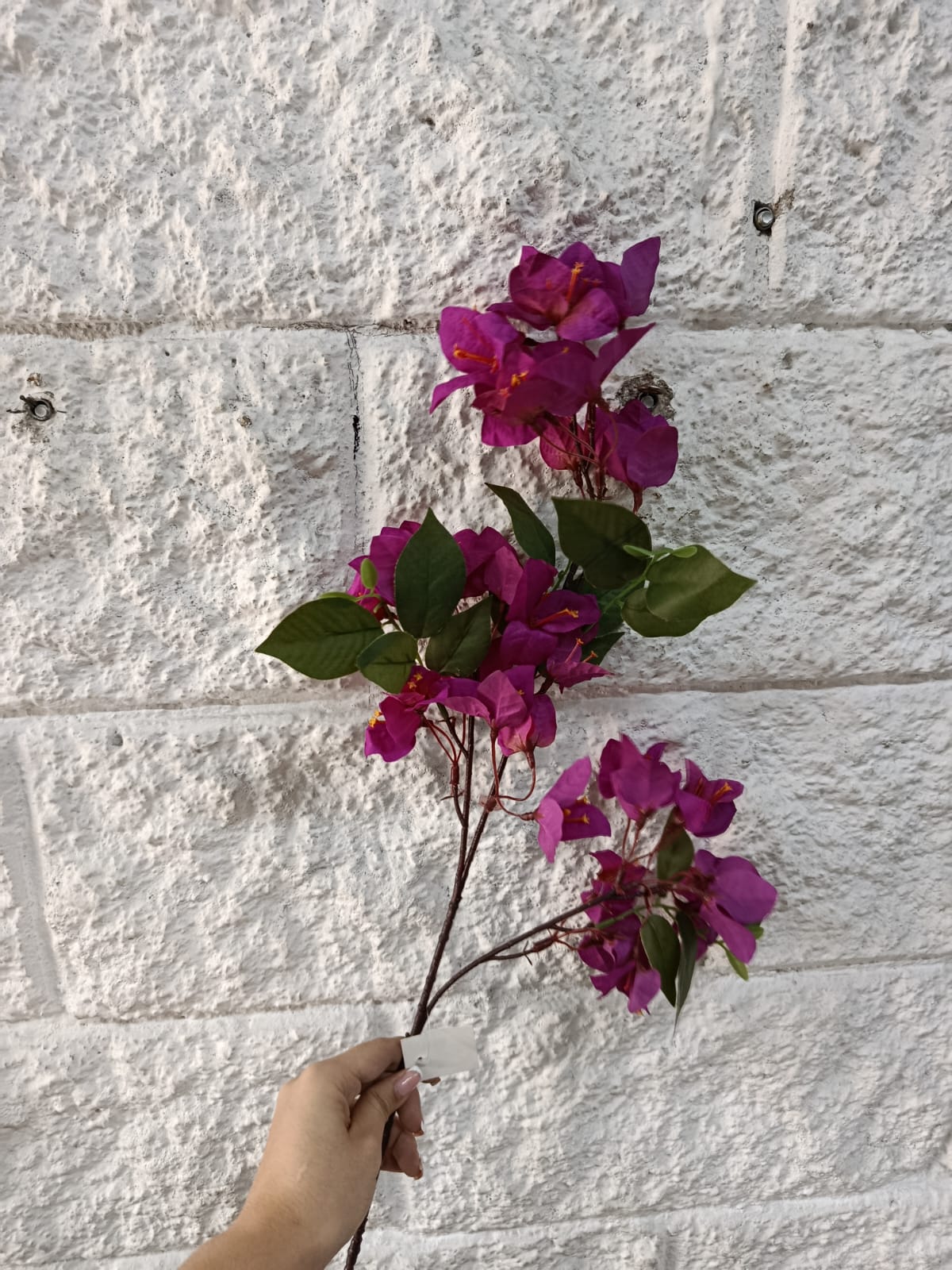 Rama de Veranera Artificial Decorativa 74cm