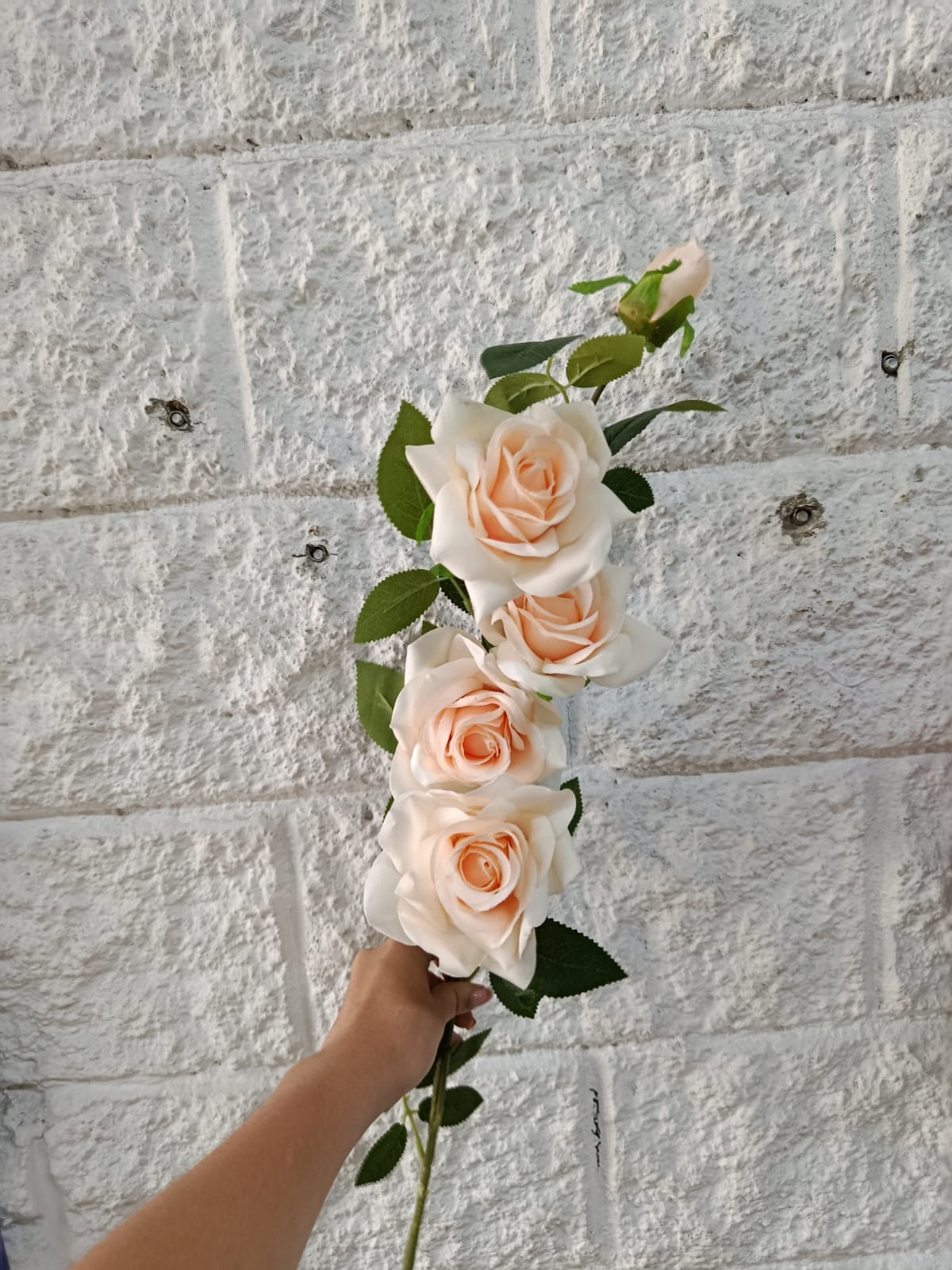 Ramo Rosas x5 Tallo Largo 1.08mts