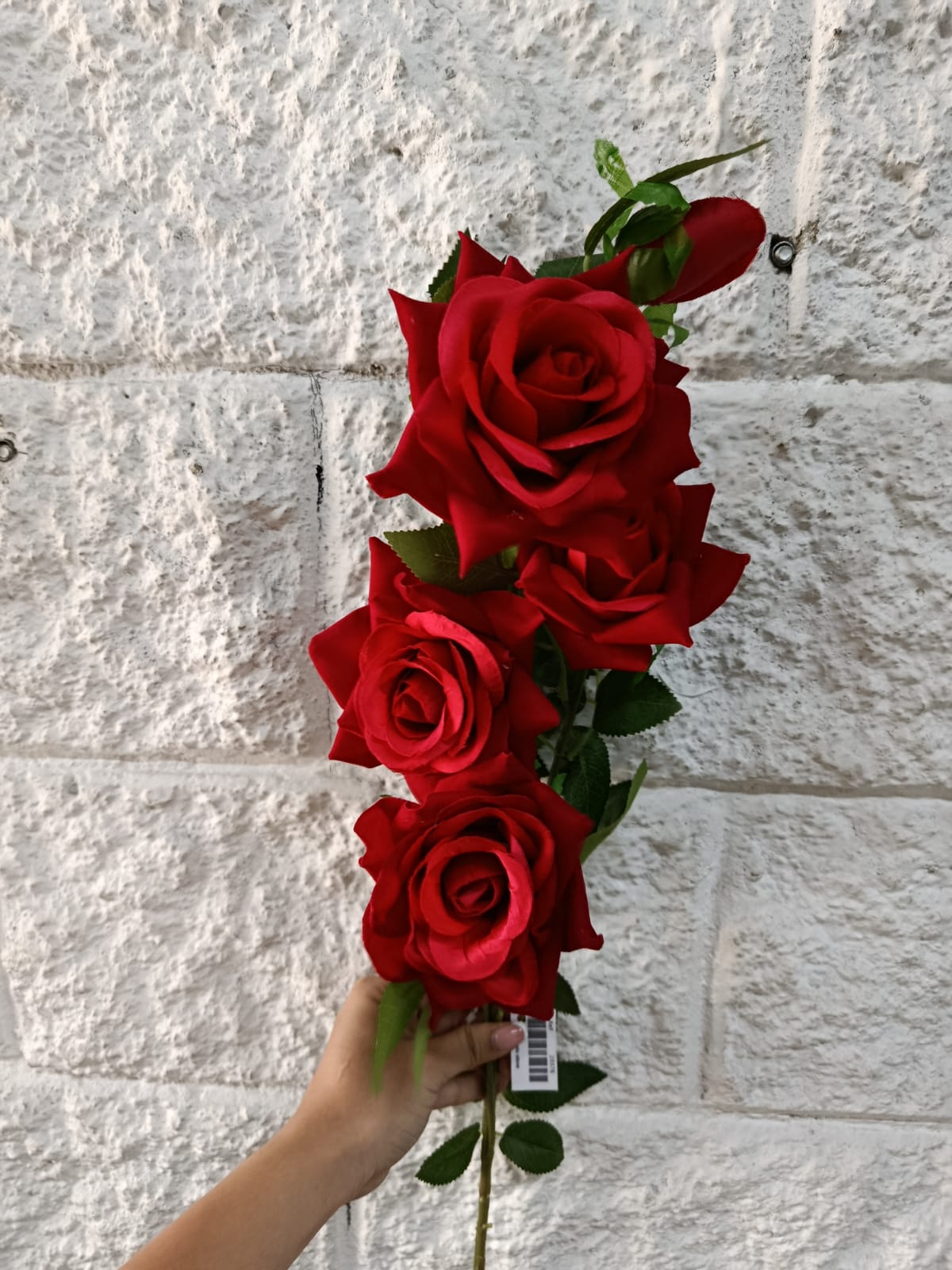 Ramo Rosas x5 Tallo Largo 1.08mts