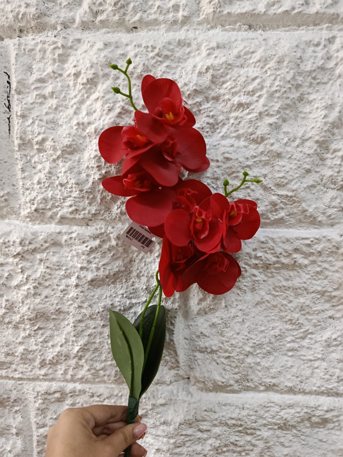 Flor Orquídea con Raíz Tallo Corto 46cm