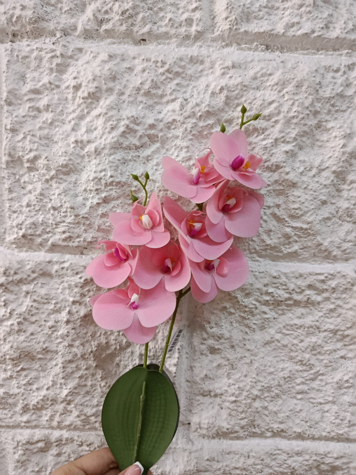 Flor Orquídea con Raíz Tallo Corto 46cm