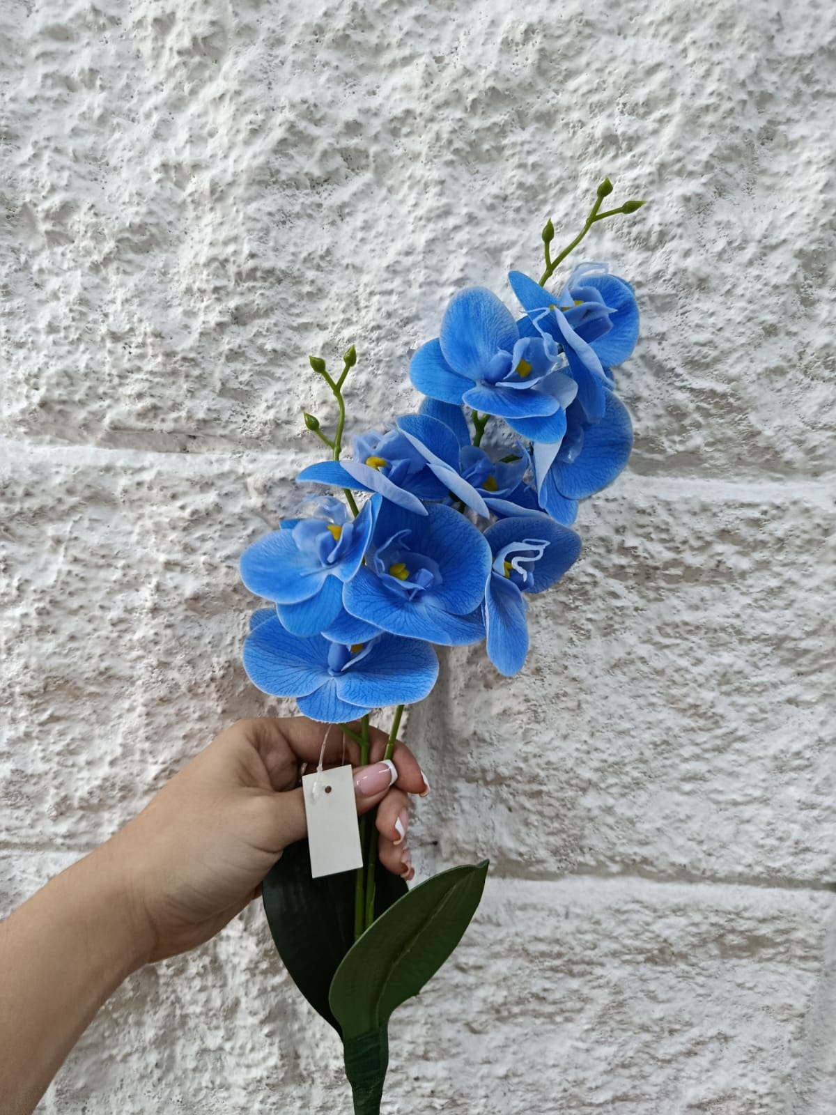 Flor Orquídea con Raíz Tallo Corto 46cm