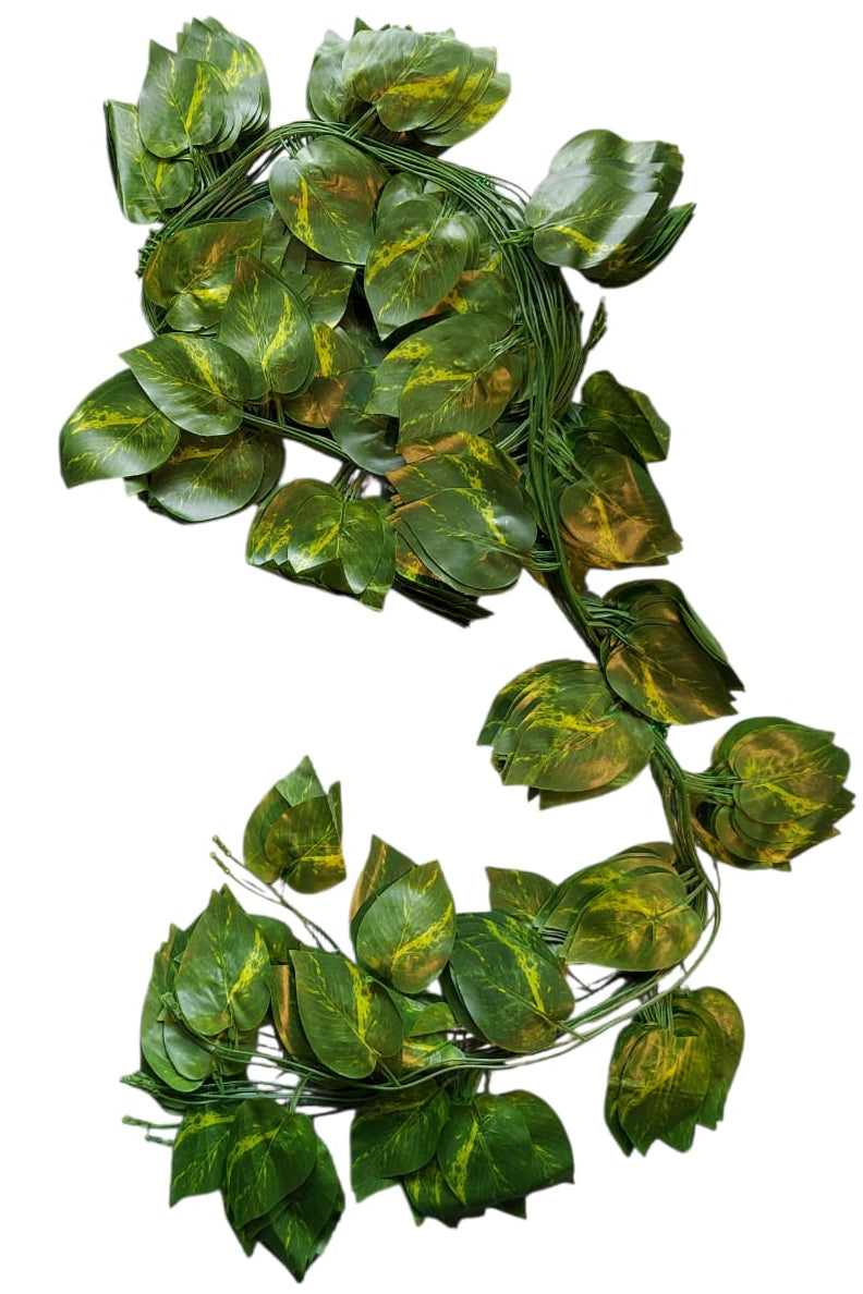 Docena Enredadera Hoja Miami Premium x12 2.40mts