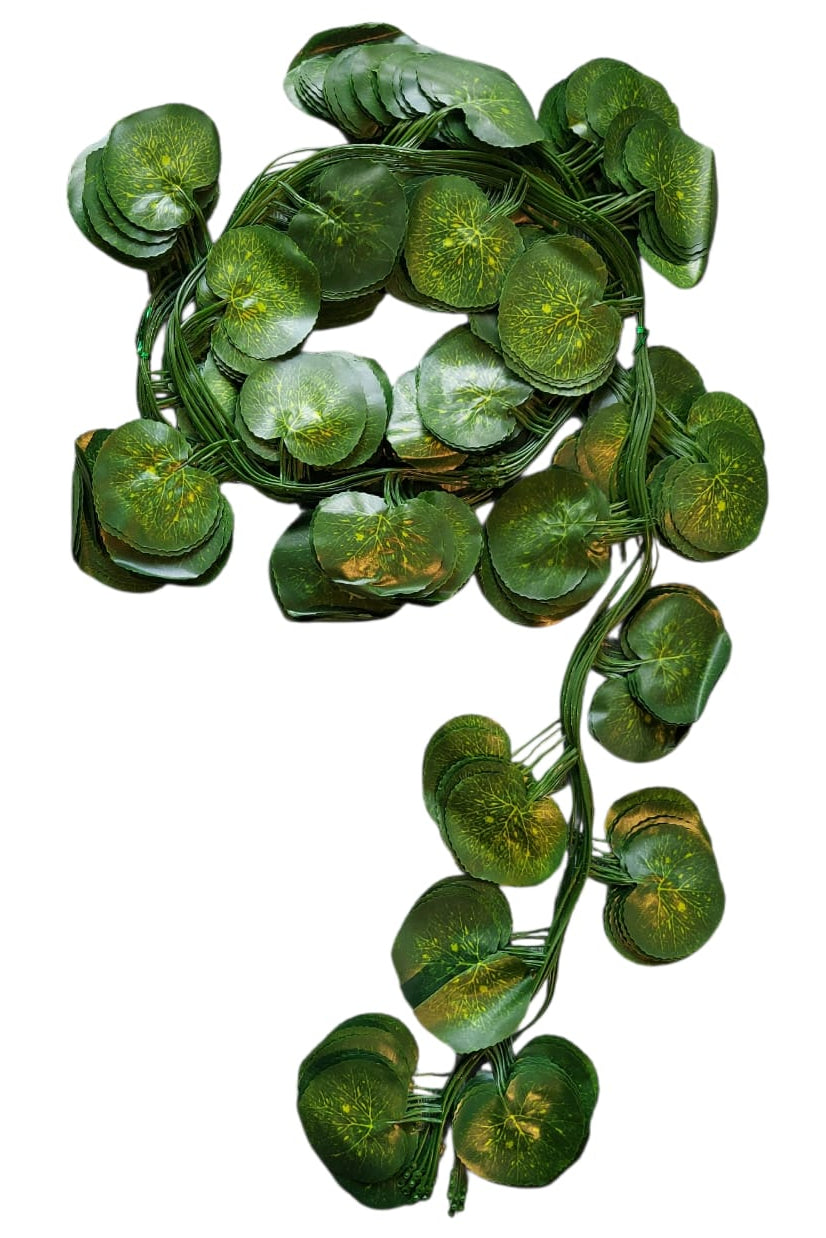 Docena Enredadera Hoja Redonda Premium 2.40mts