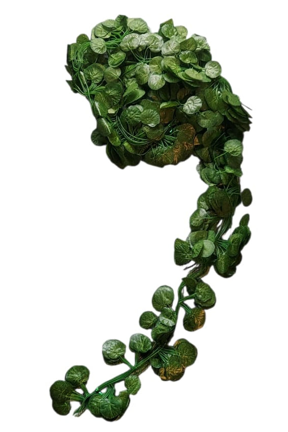 Docena Enredadera Mini Redonda x12 2.10mts