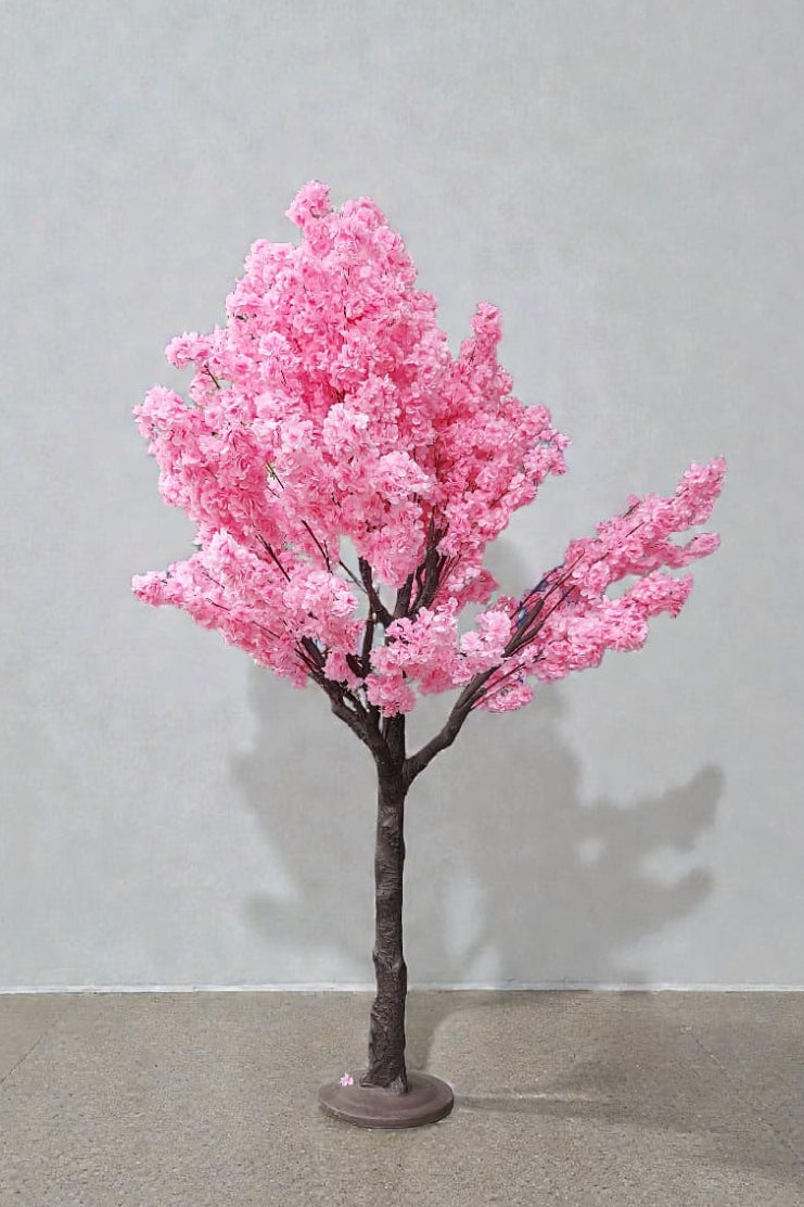 Árbol De Cerezo Grande Frondoso 2.40mts