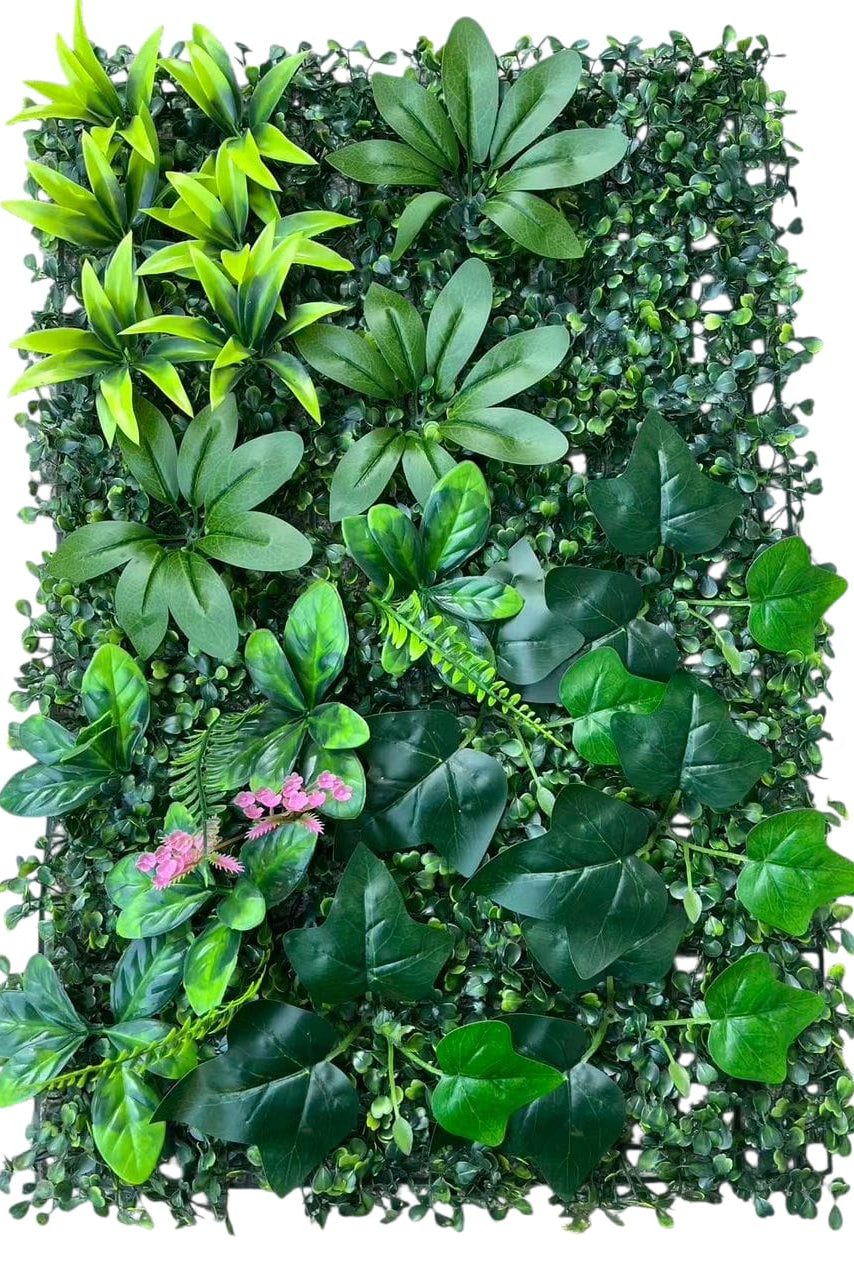 Jardin Vertical 60x40 Uva con Aralia