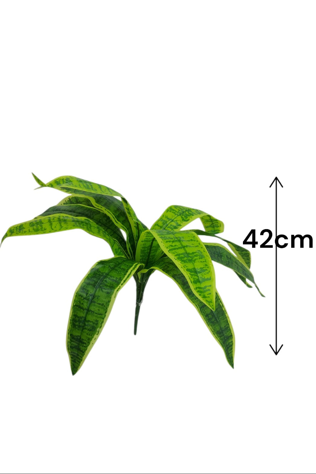 Planta Lengua de Suegra Trifasciata 42cm