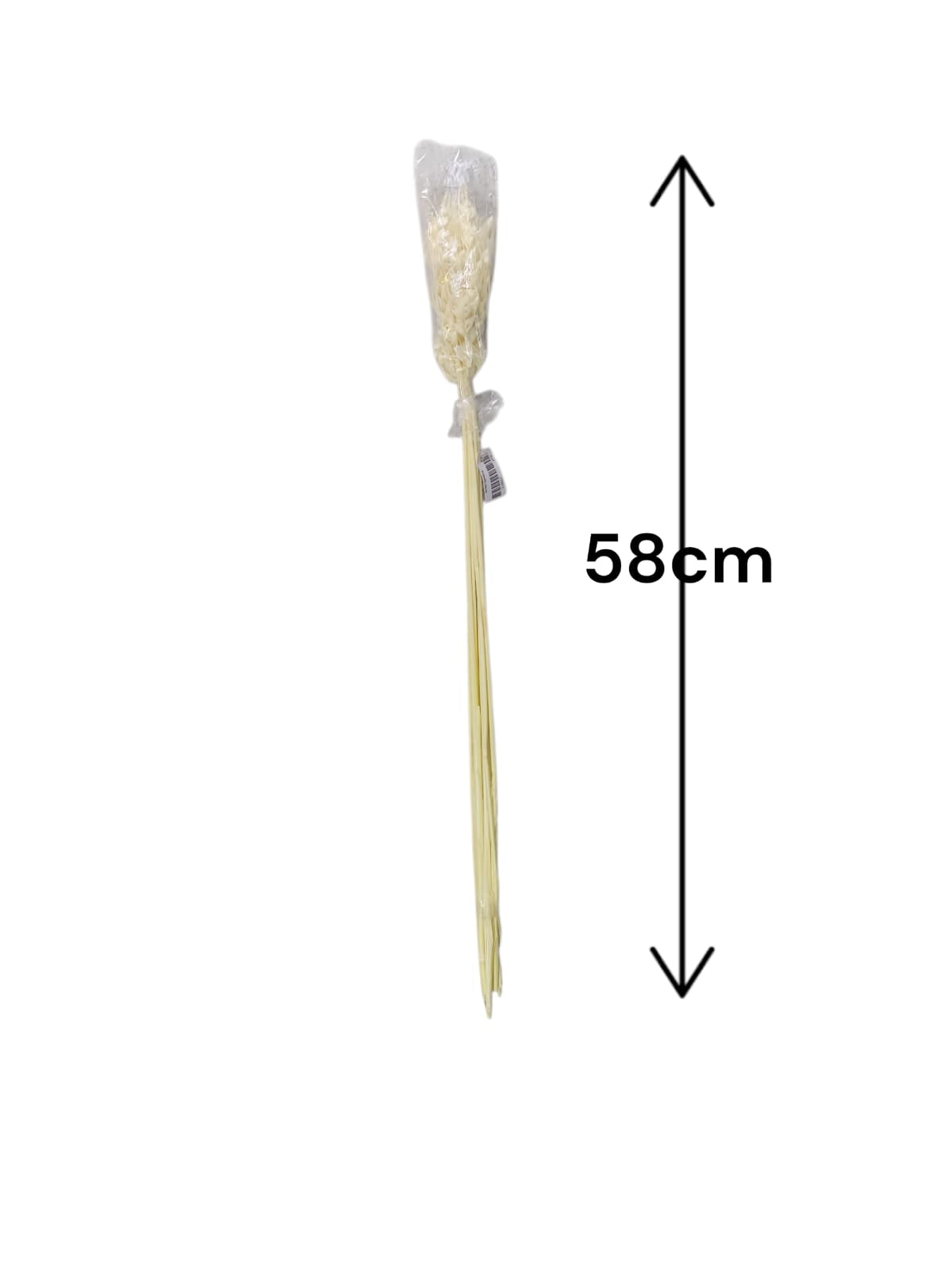 Espiga Sencilla Real 58cm