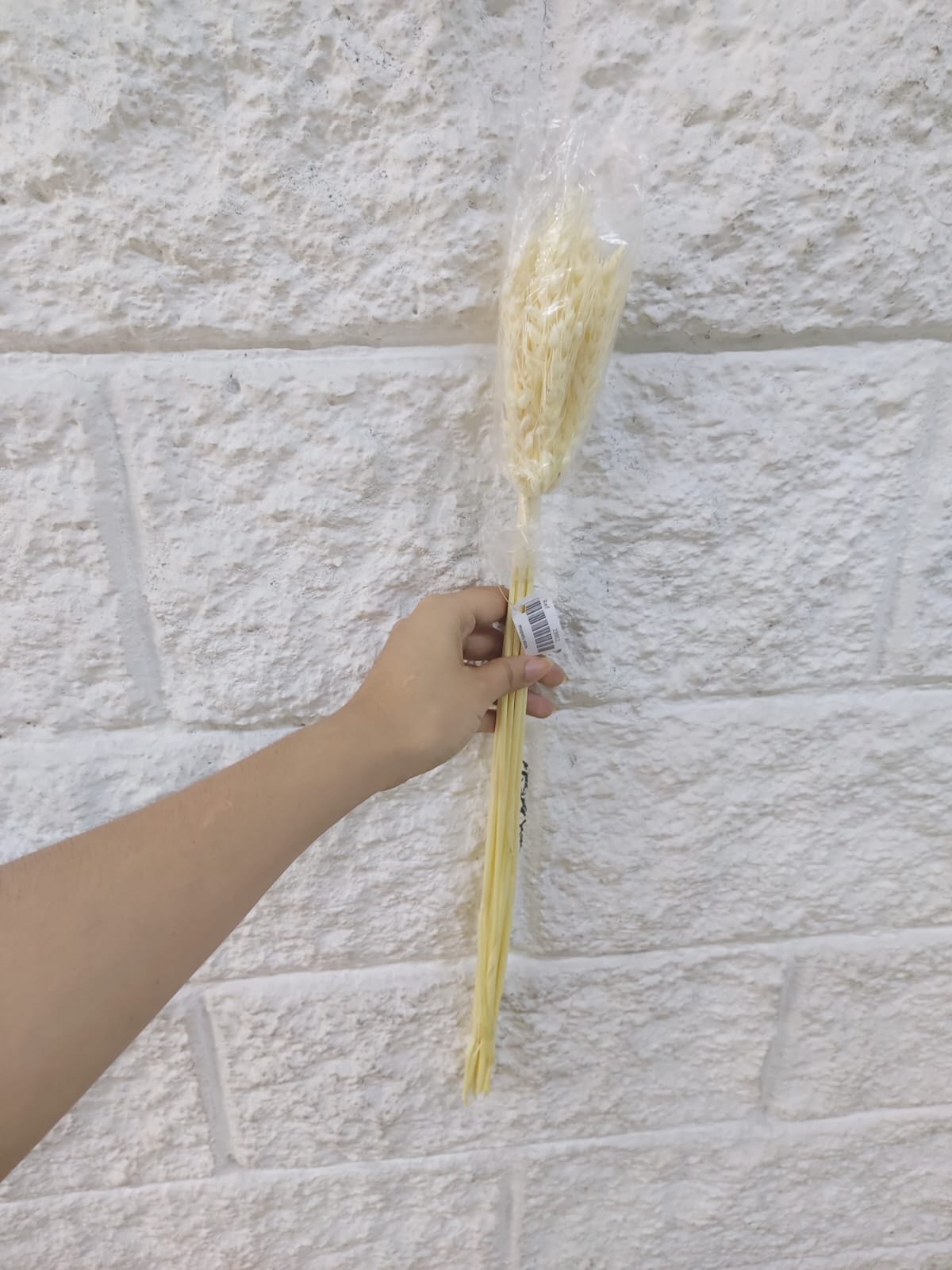 Espiga Sencilla Real 58cm