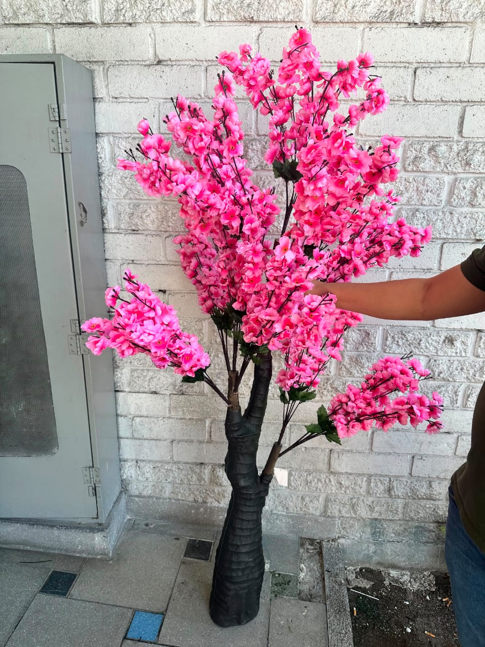 Árbol de Cerezo Fucsia Mediano 1.67cm