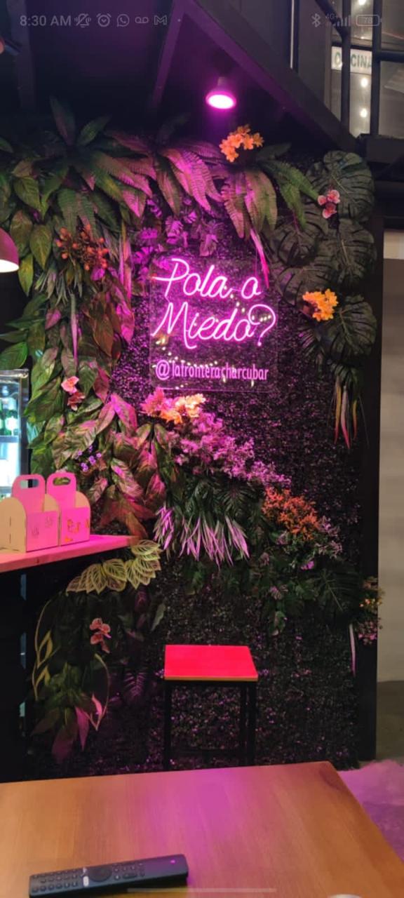 Proyecto Muro Verde · Pola o Miedo