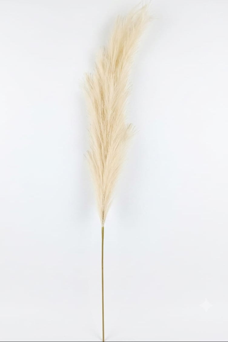 Pampa Decorativa Artificial Grande Beige 1.45cm
