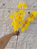 Amarillo