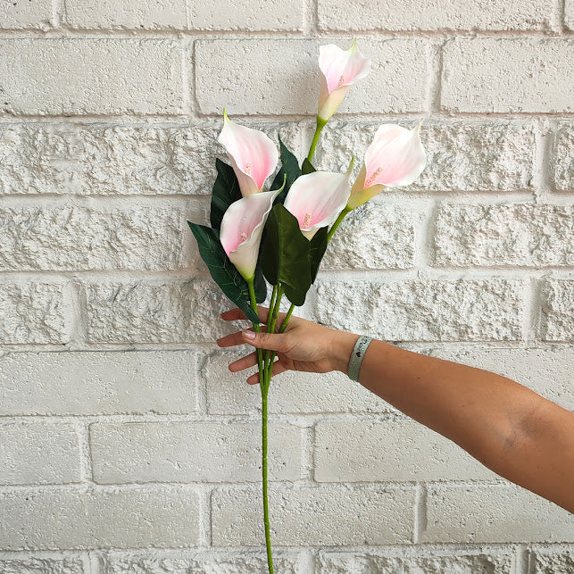 Flores Cartucho  Blanco-rosa