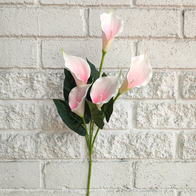 Flores Cartucho  Blanco-rosa