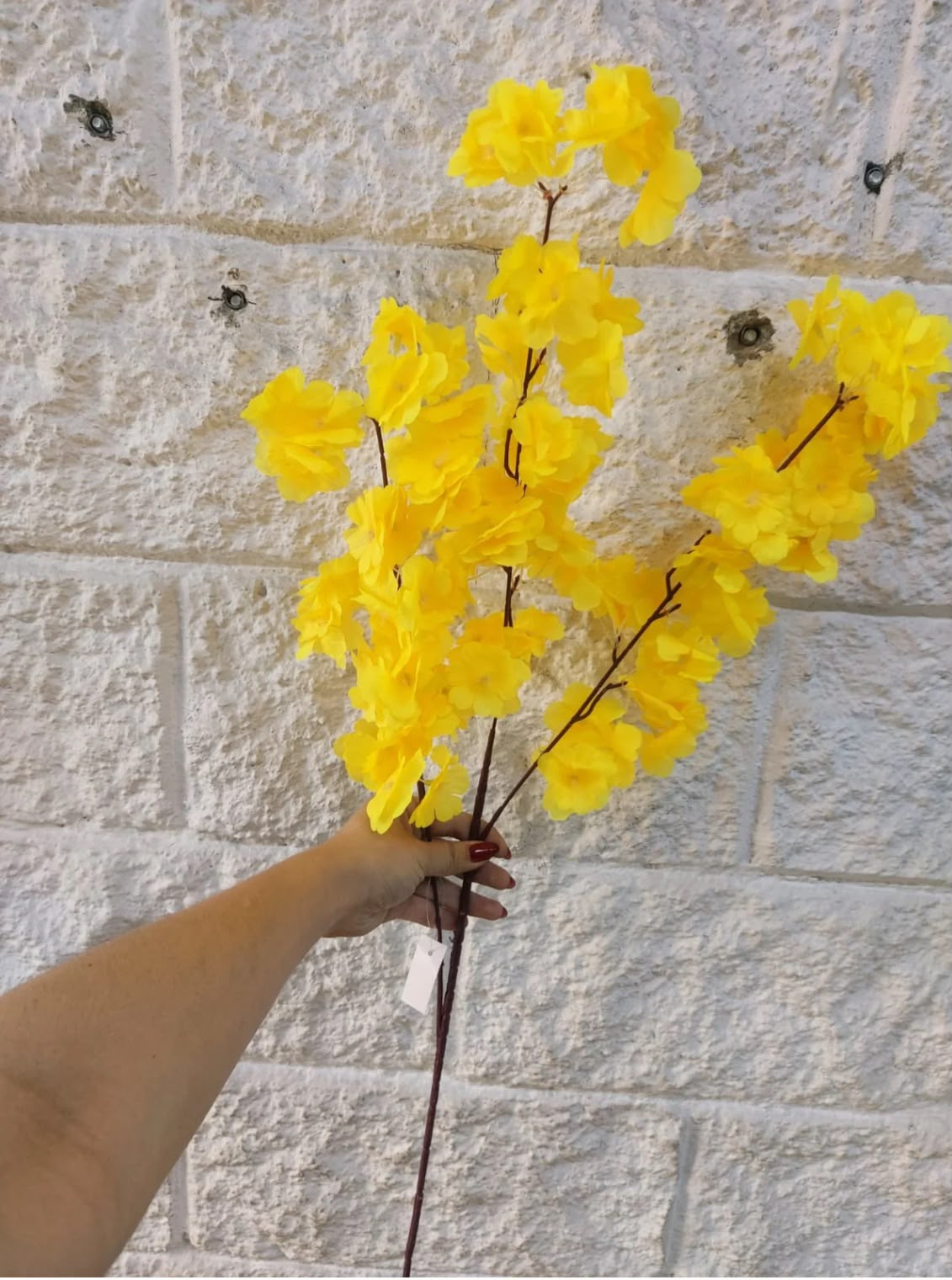 Cotiza tu decoración con Cerezos
