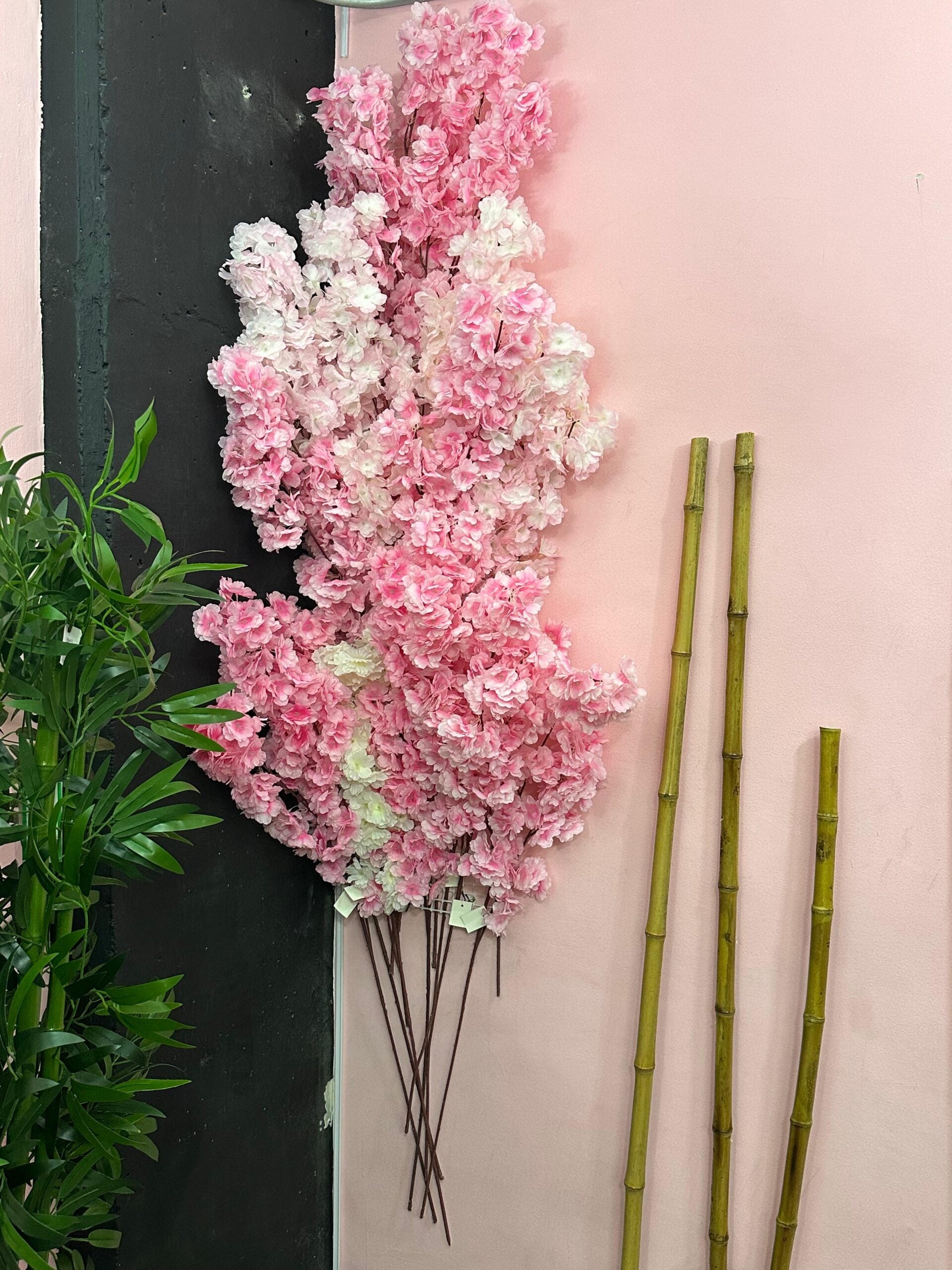 Combo  x 20 unidades Cerezos Premium Japoneses