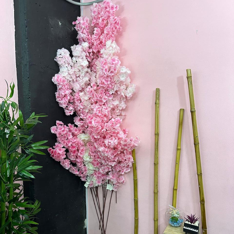 Combo  x 20 unidades Cerezos Premium Japoneses