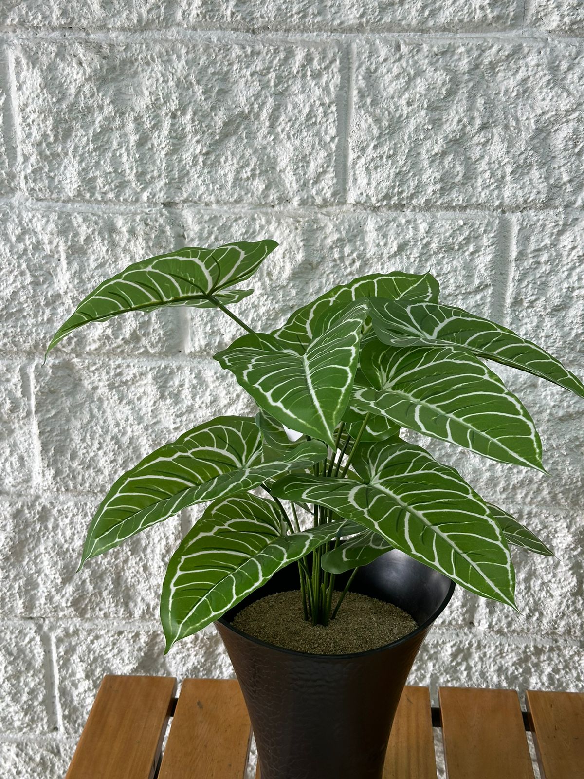 Planta Artificial Colocasia 65cm rayas blancas (sin matera)