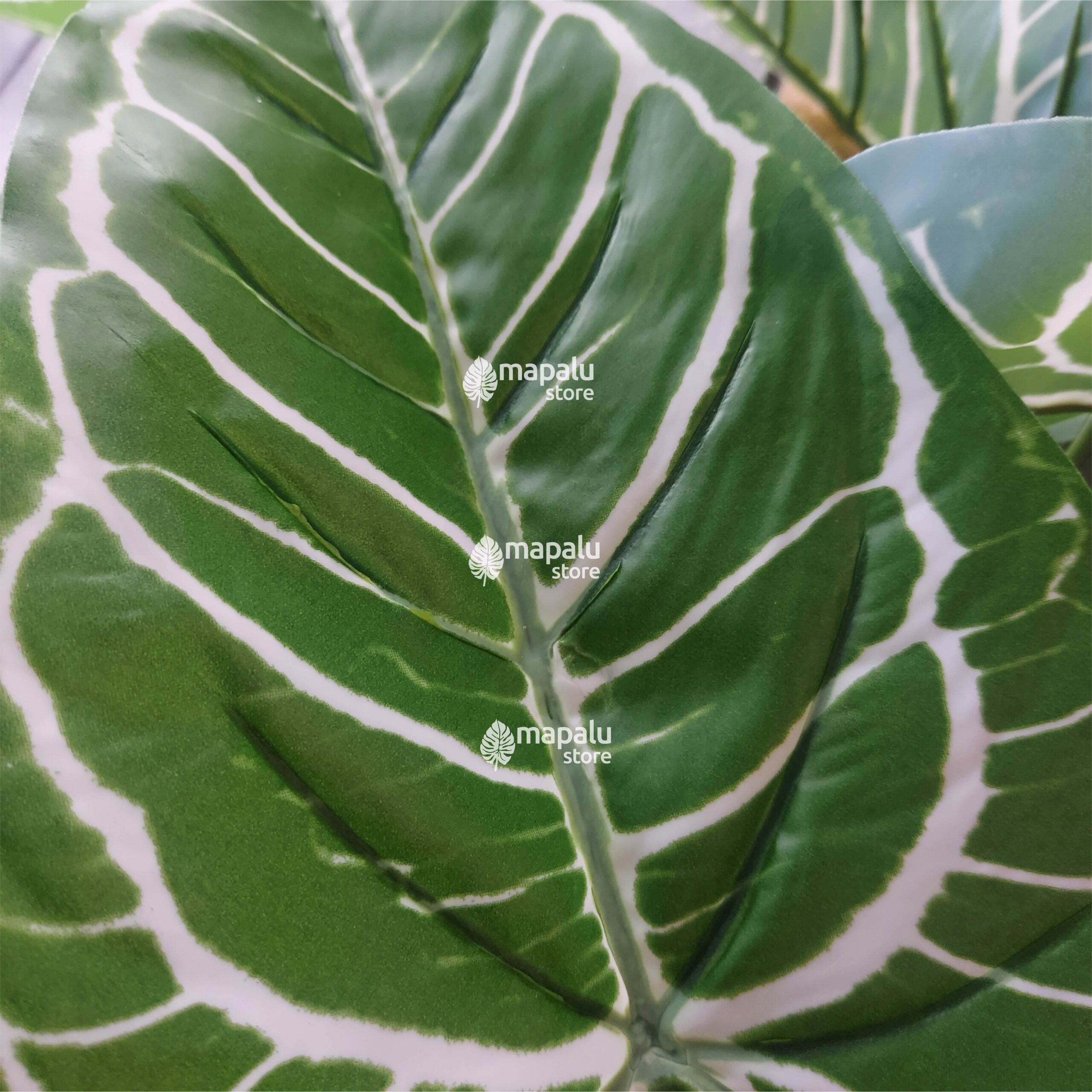 Planta Artificial Colocasia 65cm rayas blancas (sin matera)