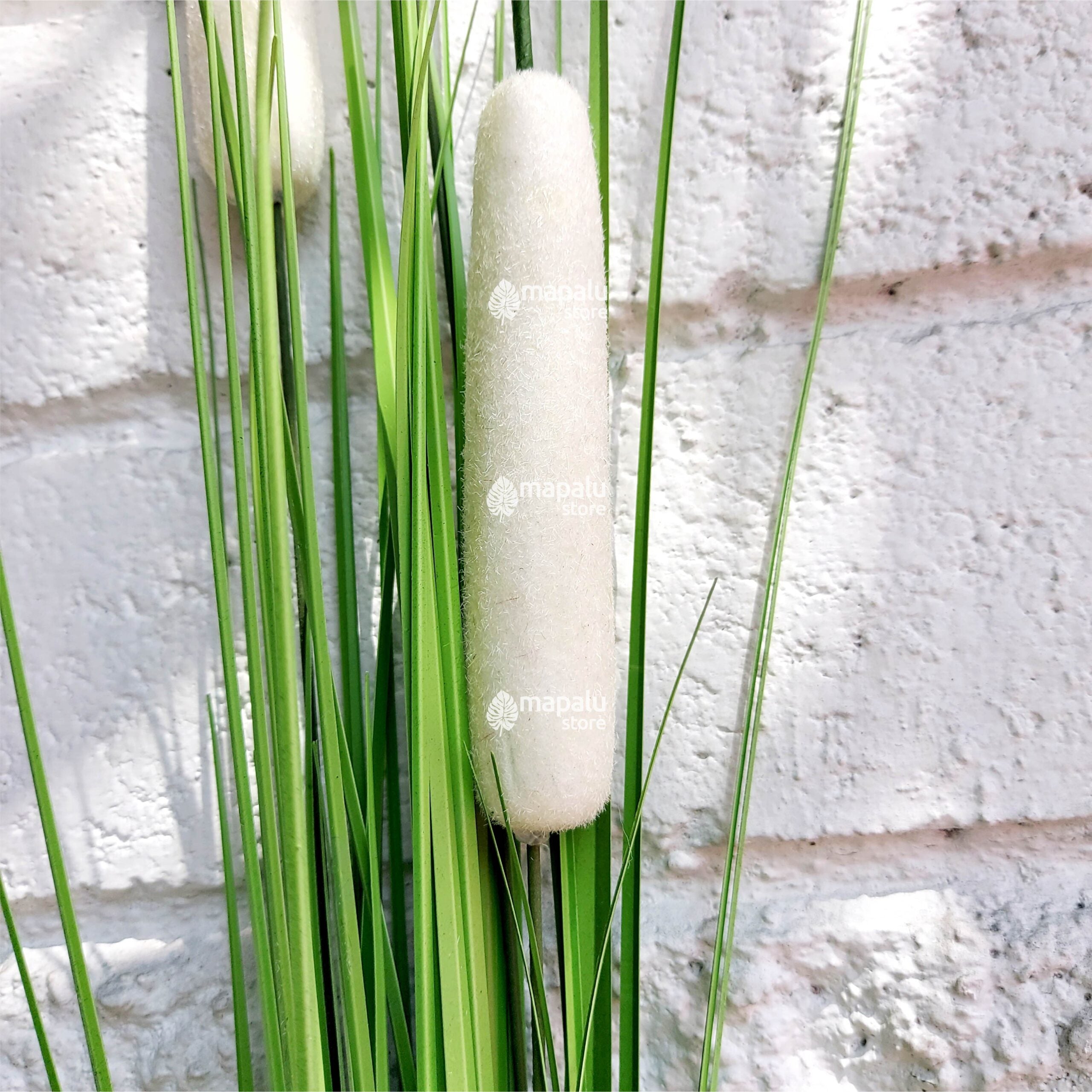 Espiga Typha angustifolia artificial blanco 1,18mt