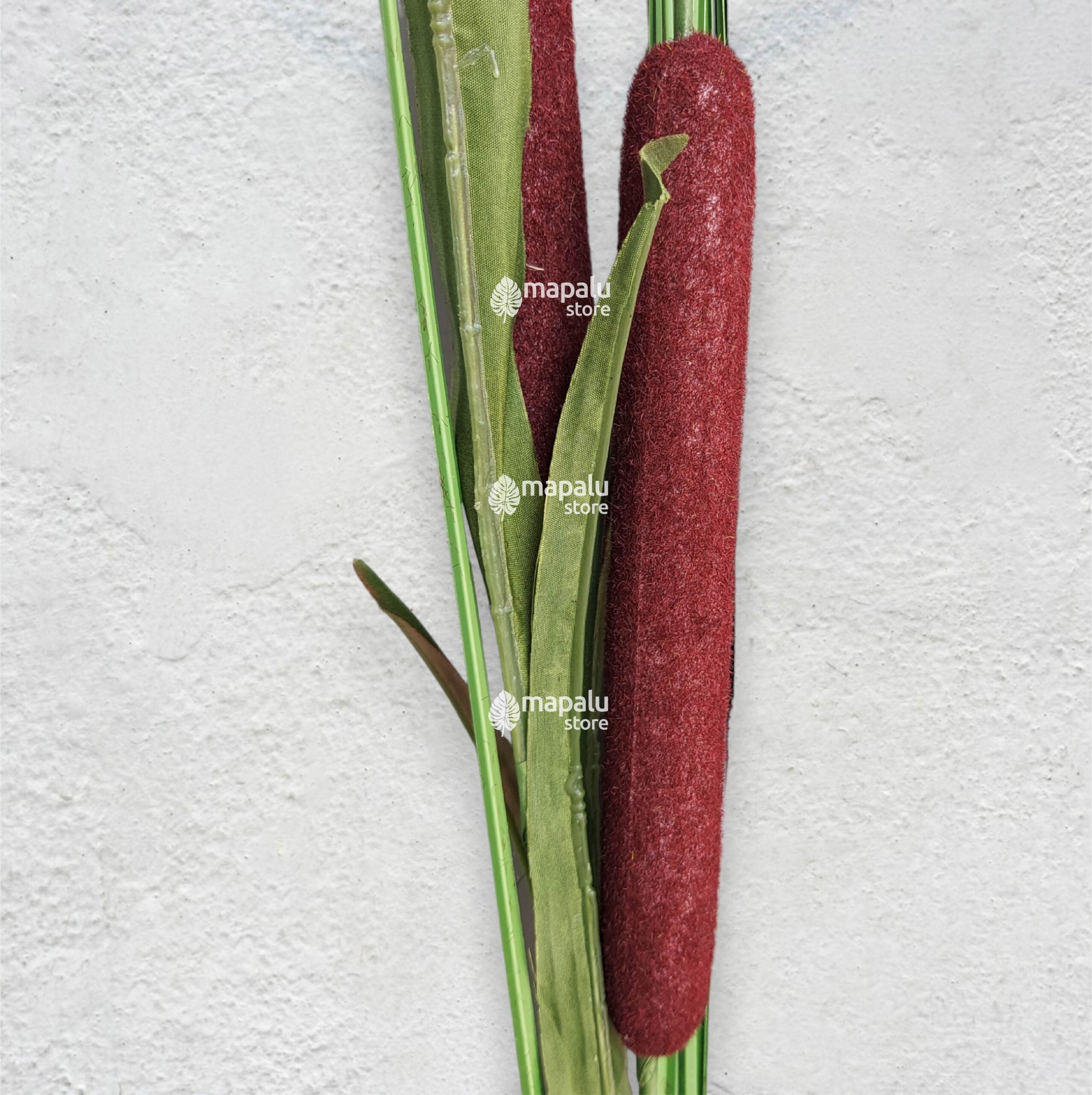 Espiga Typha angustifolia artificial café 1,18mt