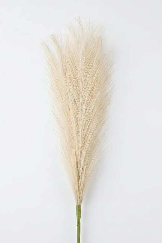 Pampa Artificial Pequeña Beige 42cm