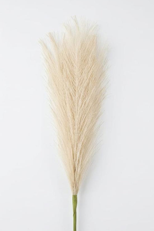 Pampa Artificial Pequeña Beige 42cm
