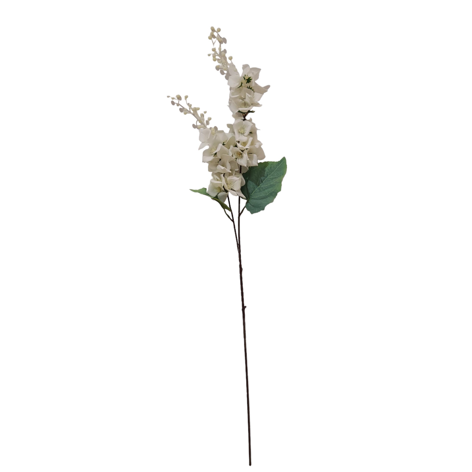 Ramo de Flores Gladiolo blanca 97cm