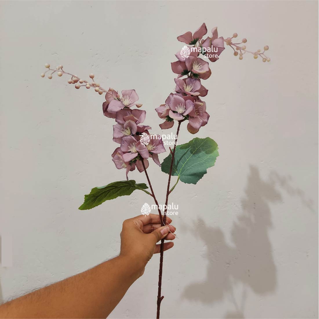 Ramo de Flores Gladiolo morado 97cm