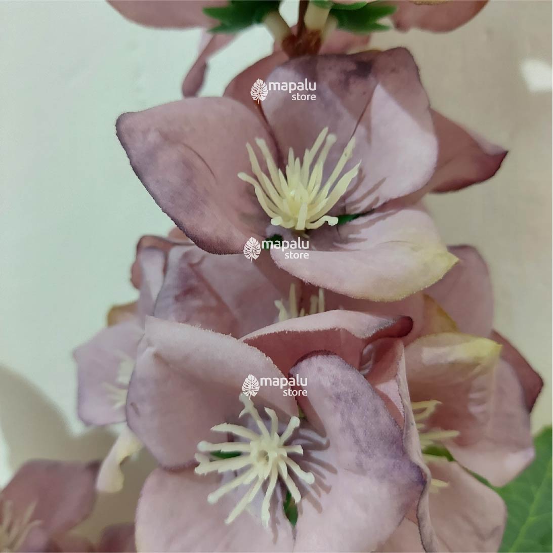 Ramo de Flores Gladiolo morado 97cm