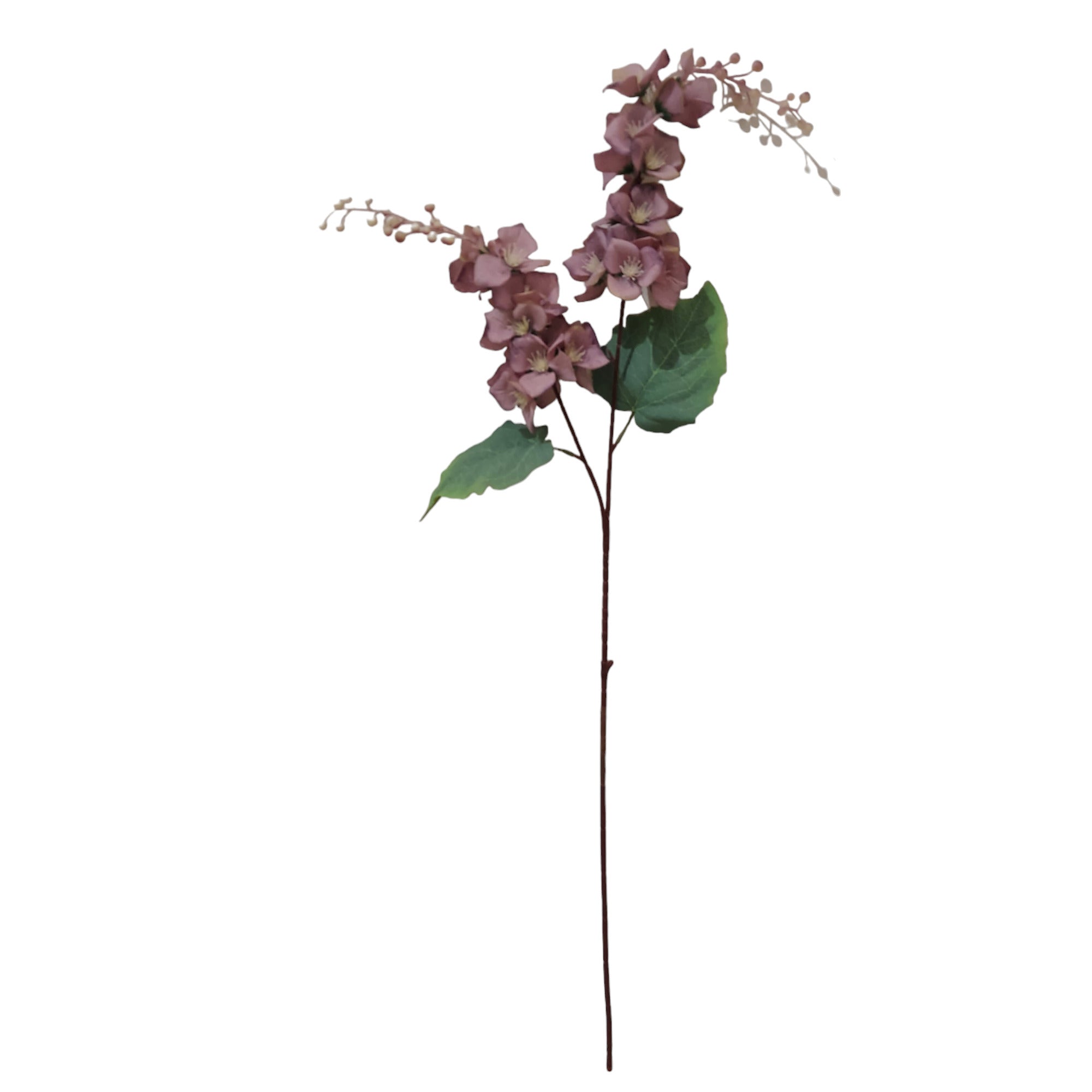 Ramo de Flores Gladiolo morado 97cm