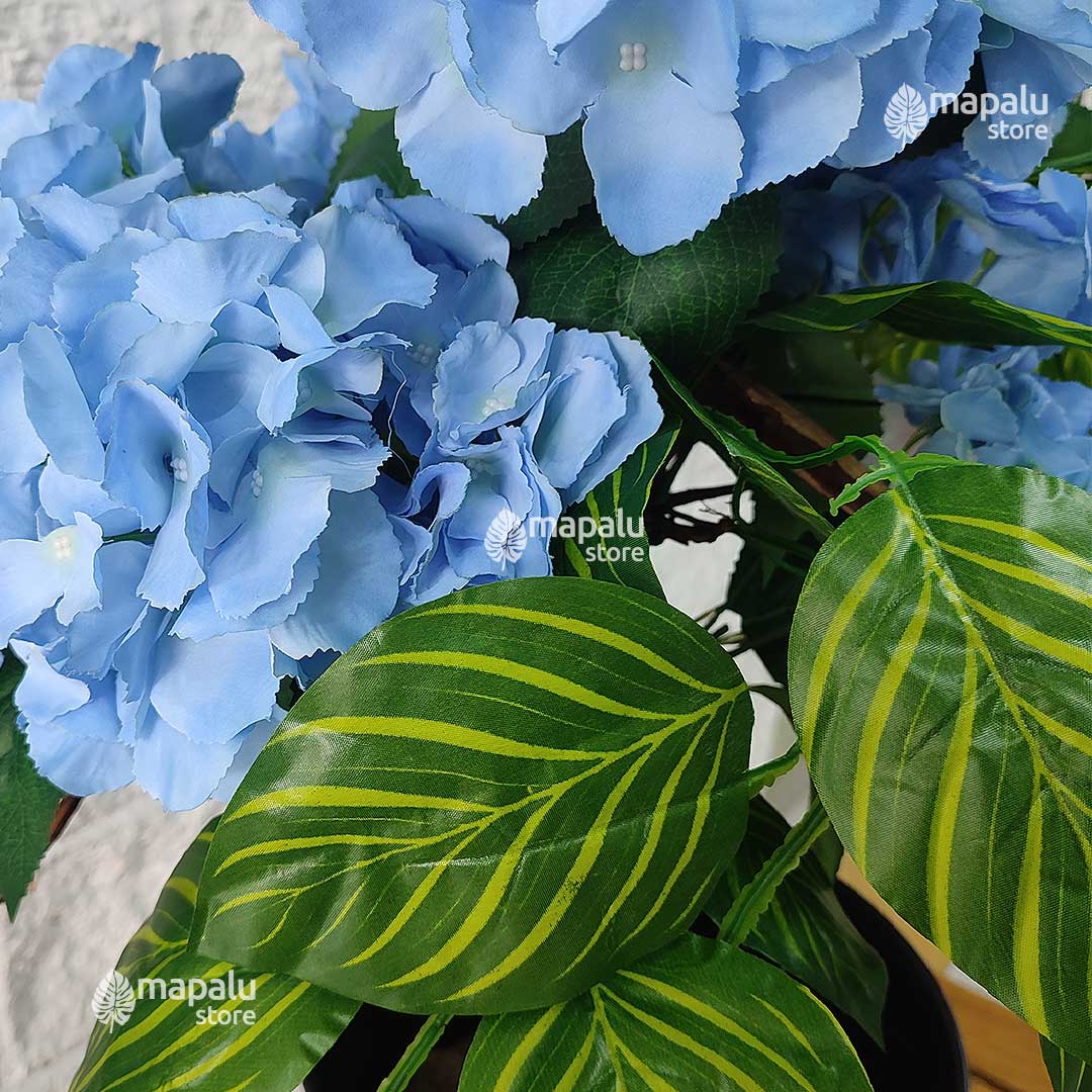 troco con Hortensias ia azul 93,3cm + matera