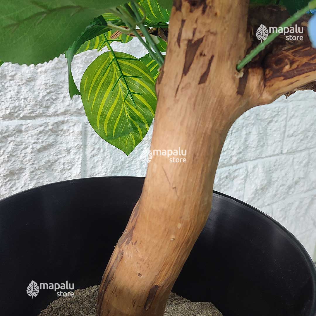 troco con Hortensias ia azul 93,3cm + matera