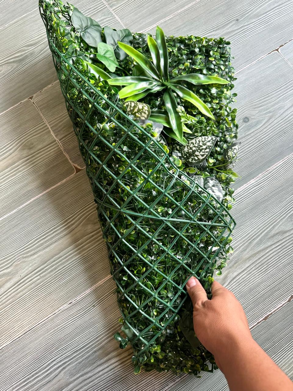 Jardín Vertical 60x40