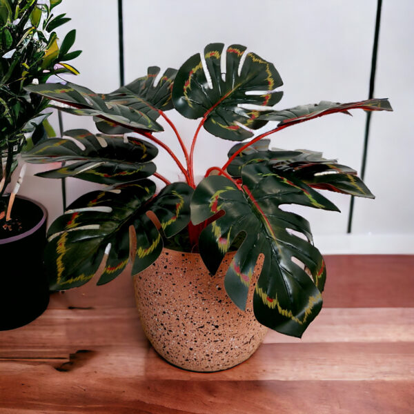 Planta Monstera verde con manchas rojas artificial 32cm