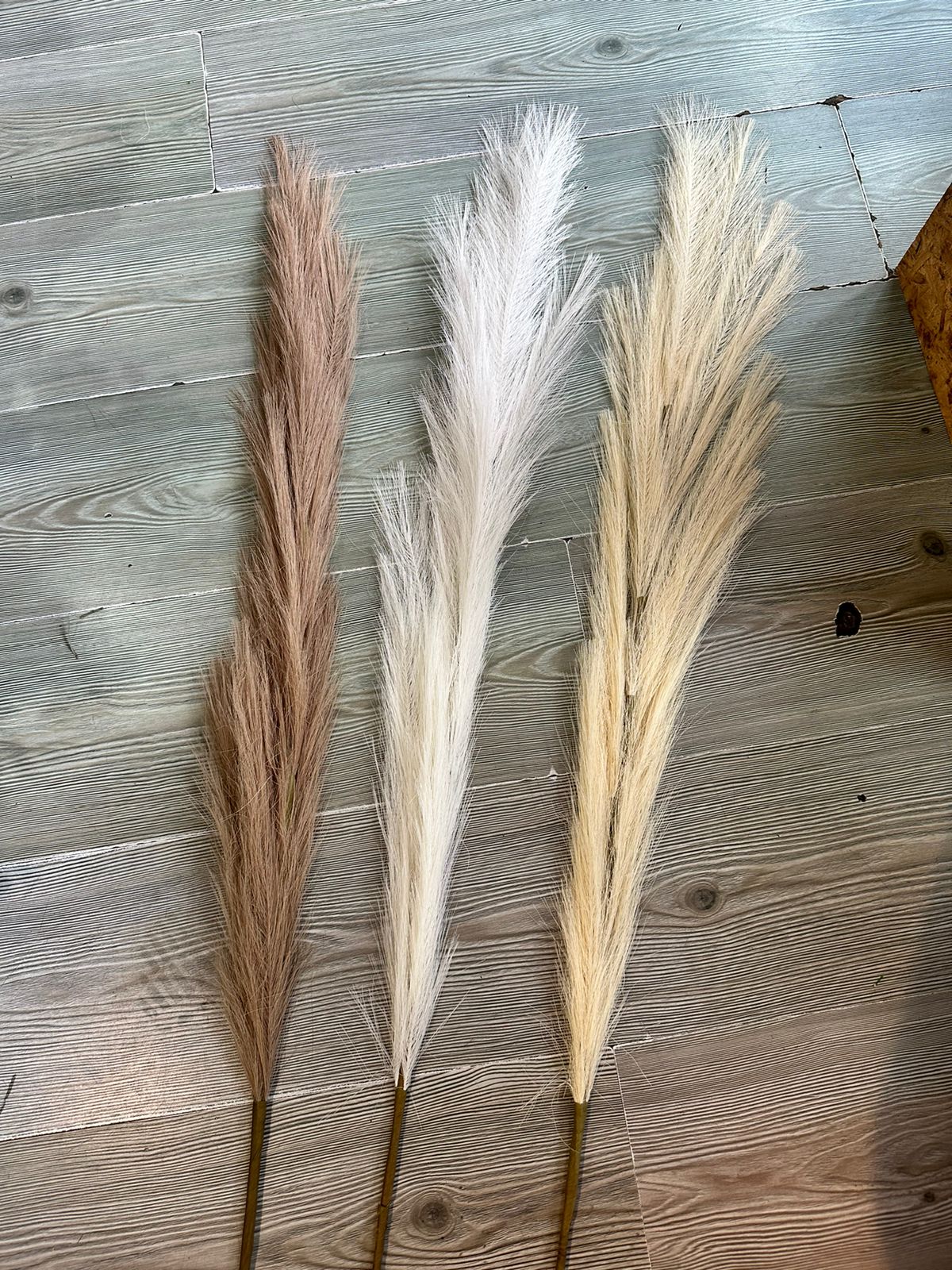 Espiga Pampa decorativa artificial Grande 145cm