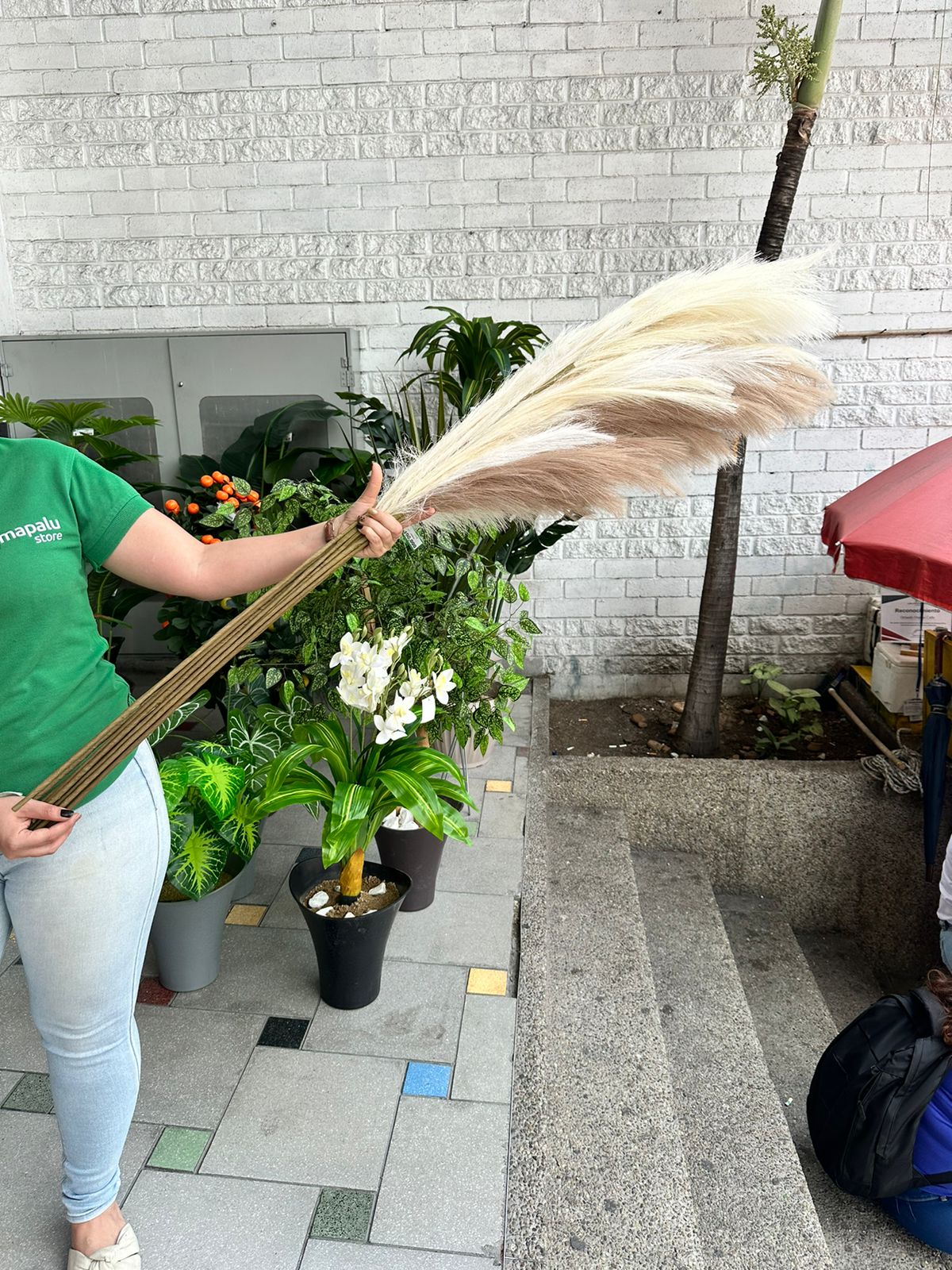 Espiga Pampa decorativa artificial Grande 145cm