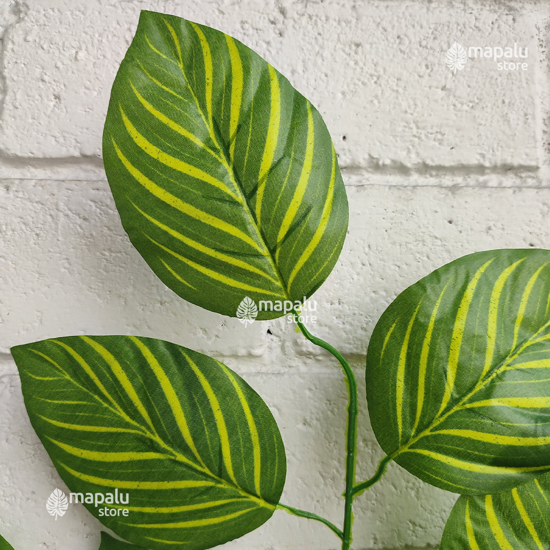 Rama Artificial Hojas de Makoyana Rayadas 65cm