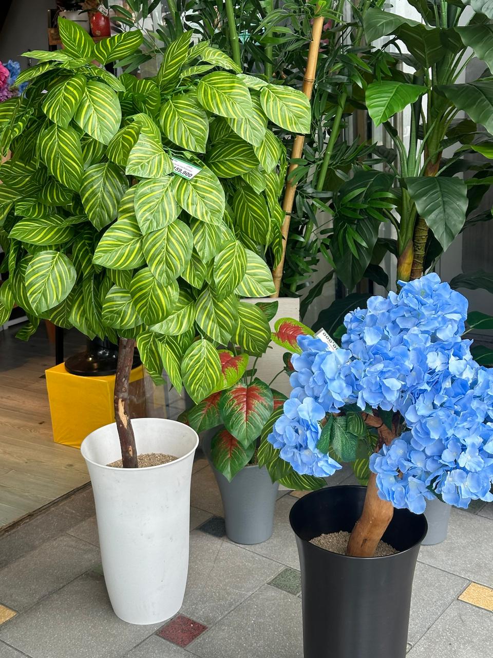 Rama Artificial Hojas de Makoyana Rayadas 65cm