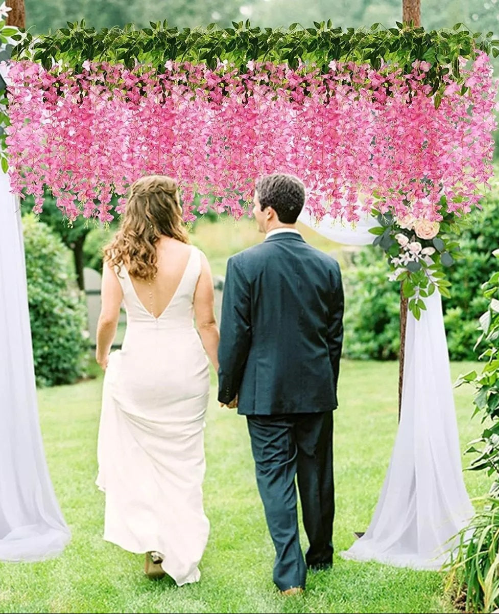 Docena de Glicina Wisteria Fucsia 80cm