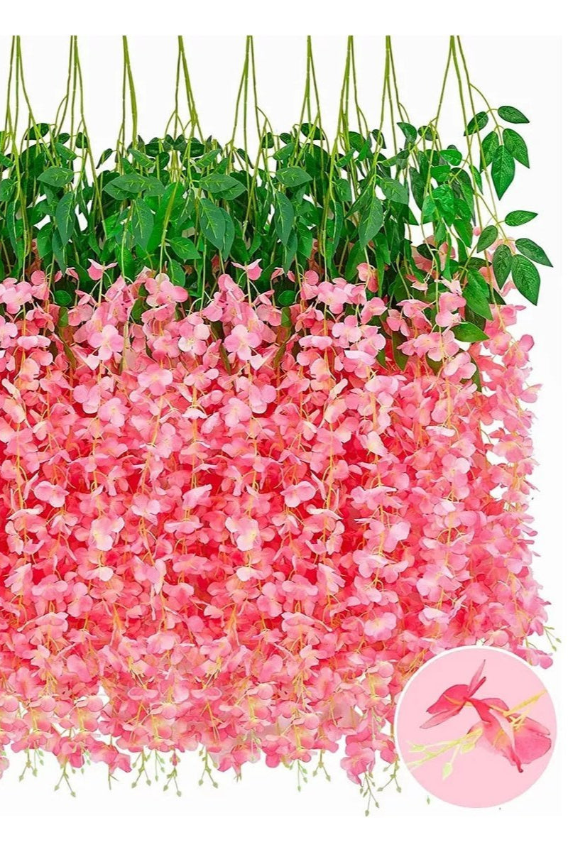 Docena de Glicina Wisteria Fucsia 80cm