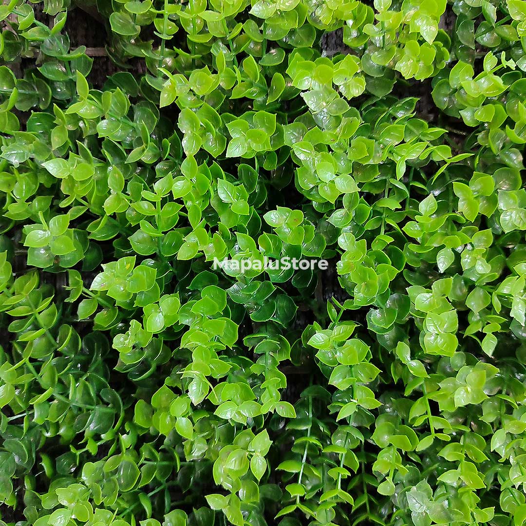 Tapete Jardín Vertical tipo Tornillo 60x40cm