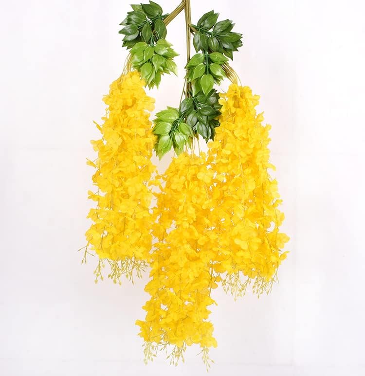 Docena de Glicina Wisteria Amarilla 80cm